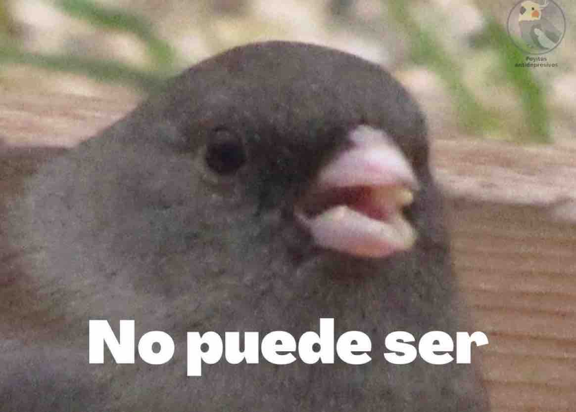“Que pase lo que tenga que pasar”

*Pasa lo que tenia que pasar*
Yo: