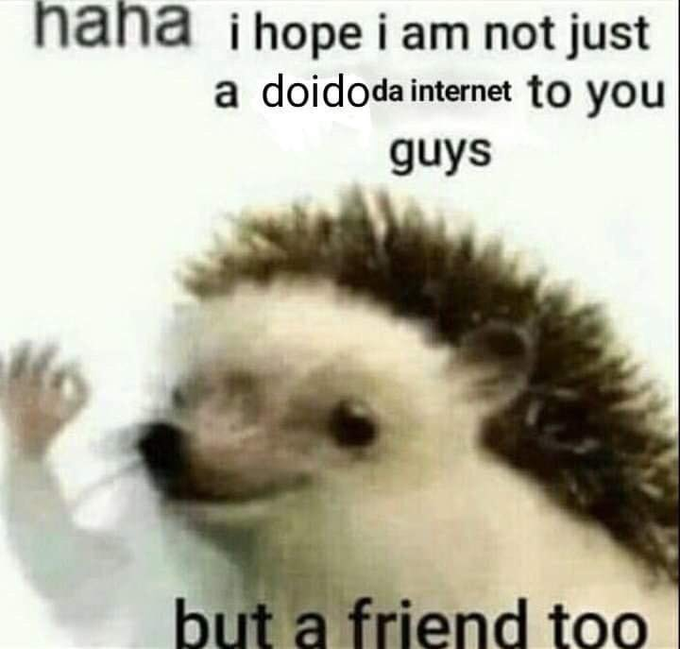 Litzchenstein tweet media