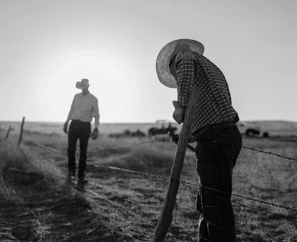 XITRanch's tweet photo. “But that fence was different from anything in the country—it was put there to stay always.”
— The XIT Ranch of Texas and the Early Days of the Llano Estacado by J. Evetts Haley
📷 Beau Simmons
#XITRanch #TenInTexas #RitoBlanco #Texas #RanchLife #Fence #Cowboy https://t.co/iesR7Rja53