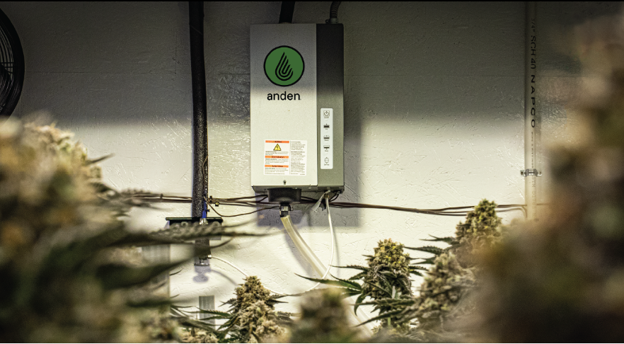 cannatechtoday's tweet photo. πΏ Curious about how to create balance and master your room moisture? Catch up with Mike Bush as he unveils how @Andenpro humidity tech is helping cultivators create optimal environments.
https://t.co/hilE905NWb
#CannabisCultivation #Innovation #Anden #BuiltforGrow https://t.co/0F3cinUTNI