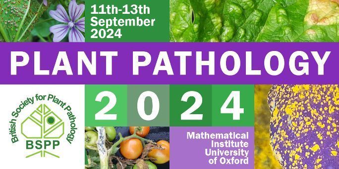 Exciting news! The moment we've all been waiting for has arrived! Secure your tickets to #PPATH2024 now! Run, don't walk to grab our early bird special, plus receive a complimentary calendar if you're among the first 12 registrants!
buff.ly/49Ra19Y