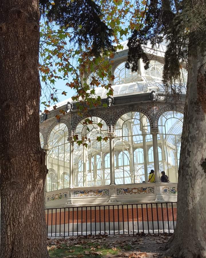 Passejant pel món. 
Madrid. Parque del Retiro. Palacio de Cristal. #Madrid #visitmadrid @TurismoMadrid #travelphotography #travelphotographer #Travel