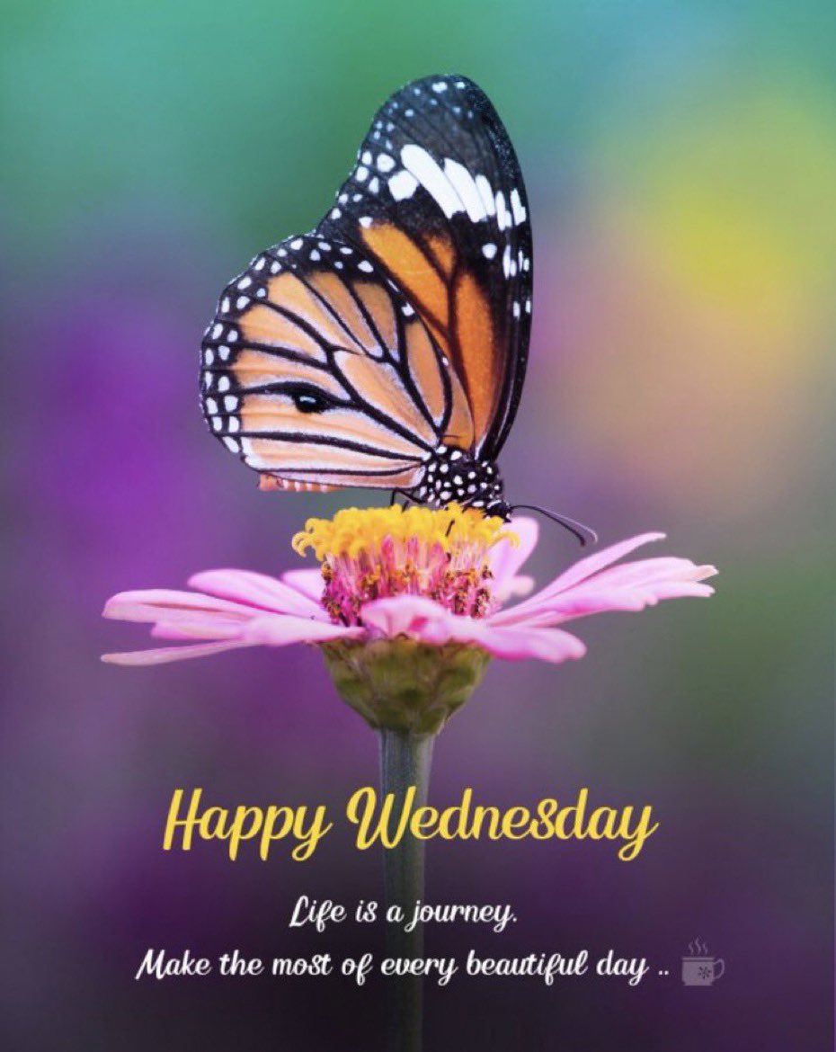 Wishing you a wonderful Wednesday 🌷