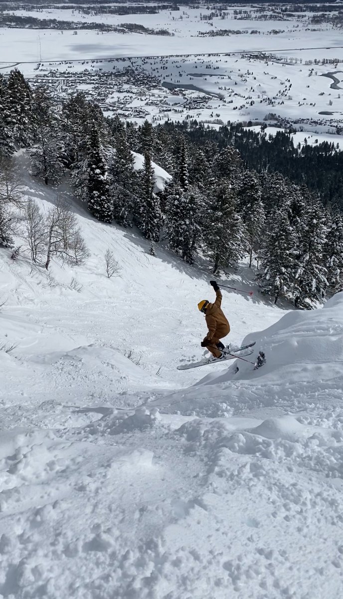 Spencer Pitman tweet media