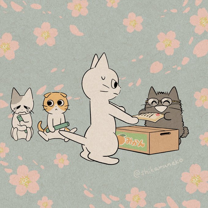 「段ボール箱 猫」のTwitter画像/イラスト(新着)