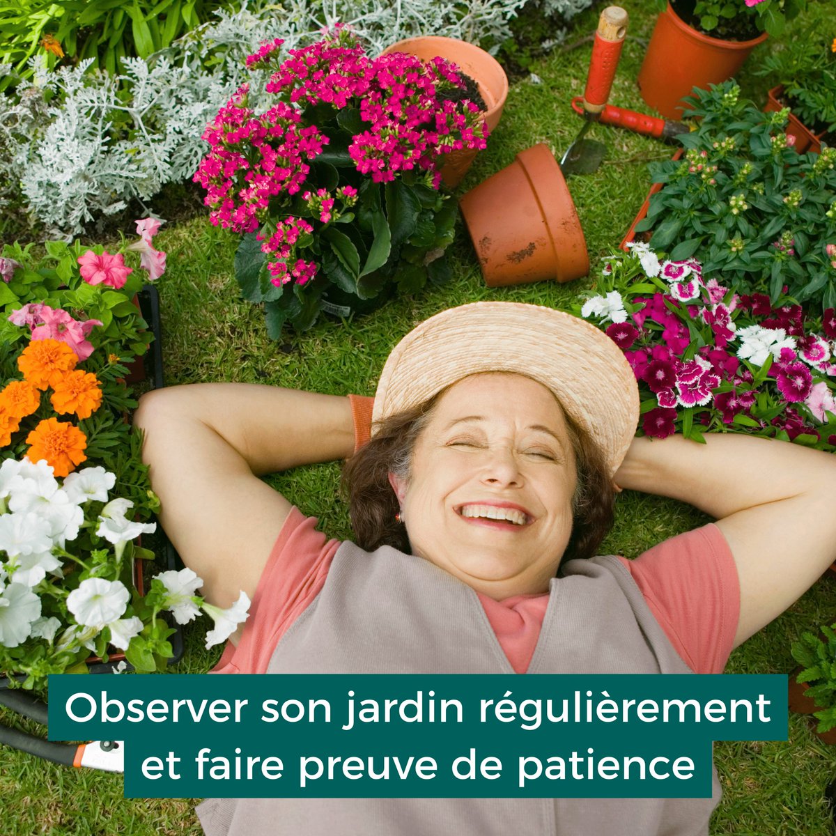 Cultivez la magie dans votre jardin : nos astuces jardinage ! 🌱
Voici quelques conseils pour prendre soin de vos plantes, de vos fleurs et de votre potager. 🌿
 #Jardin #Plantes #Potager