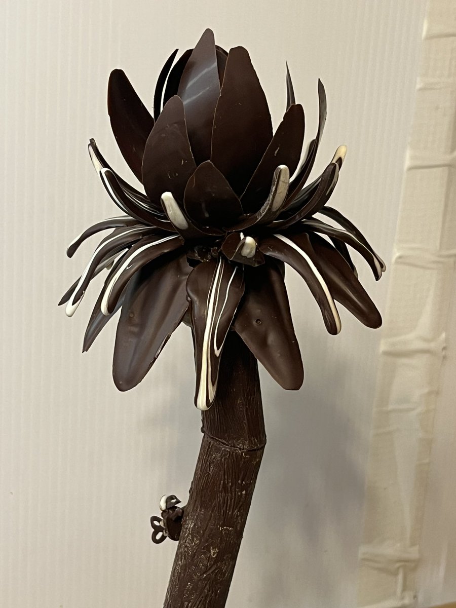 Finally finished my first chocolate showpiece for my final class in chocolatiering. First time doing most of these elements. Required elements were: base, hollow tube, flower. Had never done petals like that, nor tubing etc.