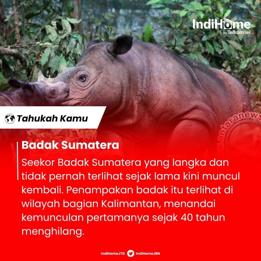 Ar3k Lokal by Telkomsel Area 3 tweet media