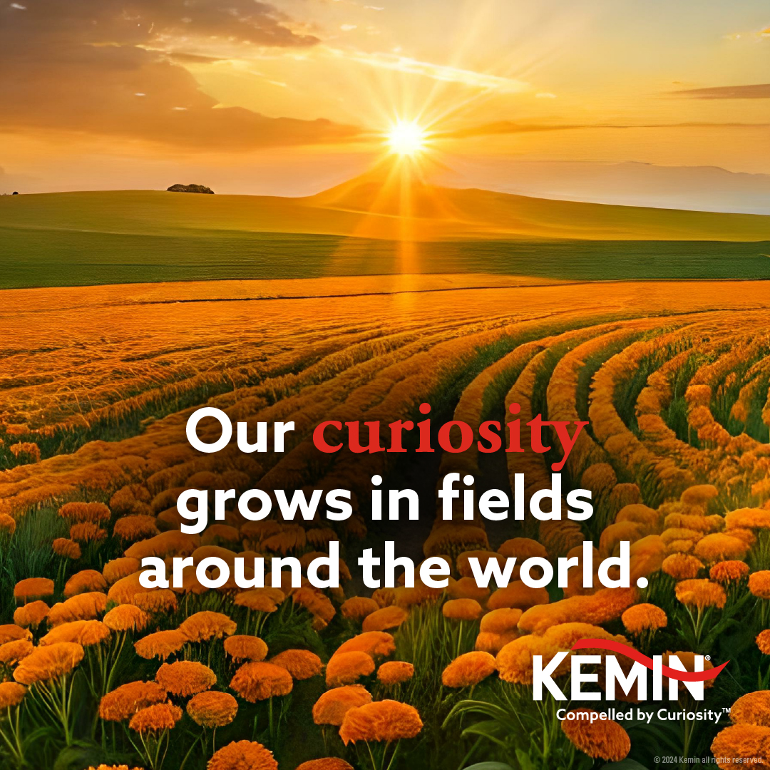Molecules extracted from Kemin’s scientifically advanced botanicals are formulated into beneficial ingredients for use in dietary supplements, preserving food’s freshness, improving animals' intestinal health, and fighting pests on growing produce. bit.ly/3uVr7EP