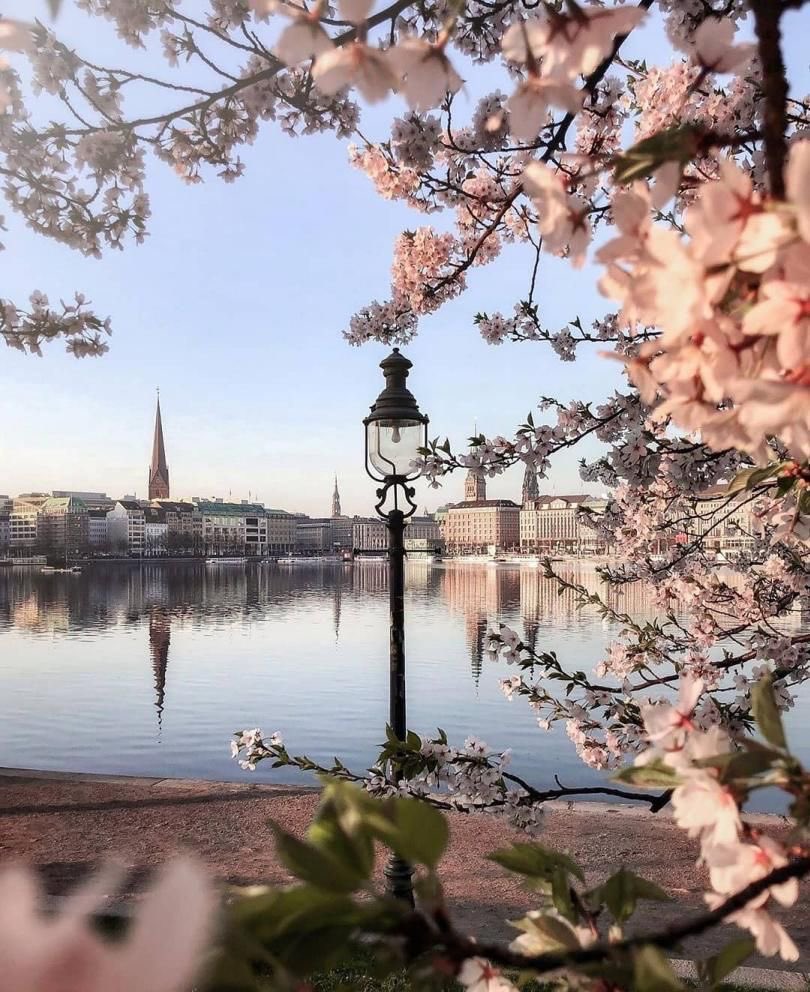 helena_mar19's tweet photo. Good Morning 
Have a Wonderful Day 

(Hamburg-Germany,📷 Pinterest) https://t.co/LbAxZgs2Kw