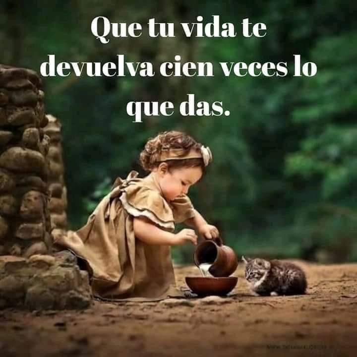 Paulo Coelho Español (@paulocoelhodice) on Twitter photo 