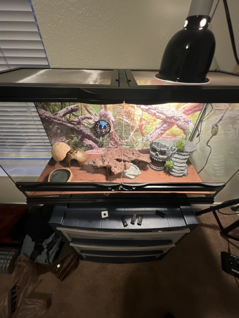 thisis_jacko's tweet image. Ik they ain believe in me now look at us