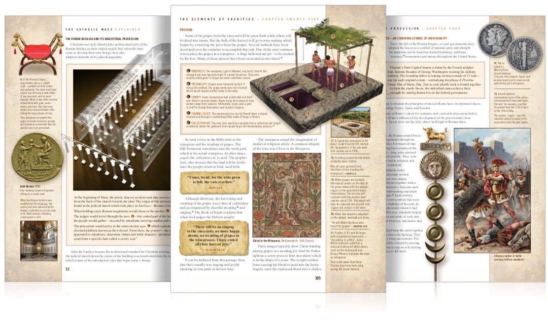 patrickmadrid's tweet image. ‘THE MASS EXPLAINED’ IS AWESOME
“Jaw-droppingly good! There aren’t enough superlatives to adequately extol the beauty and significance of this new book. Over-the-top hyperbole, you say? Not at all. It’s no exaggeration to say that ‘Mass Explained’ is richly beautiful,