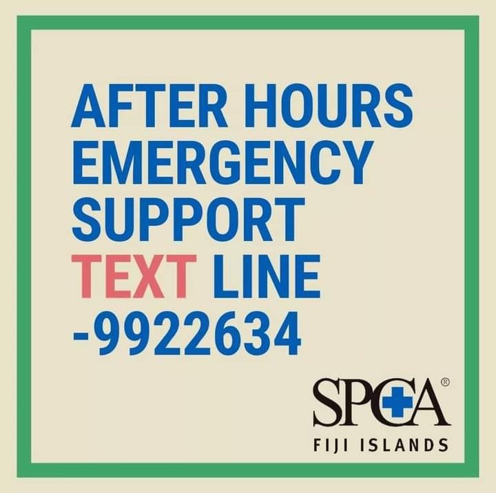 Hey guys! Here's our emergency after hours text line in case you didn't have it saved on your phone or stuck to your fridge yet. Text us and we'll get back to you asap! #spca