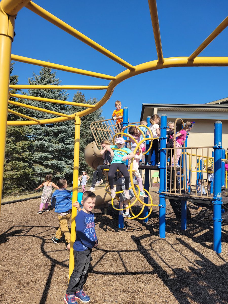 Lisa Jacobs tweet media