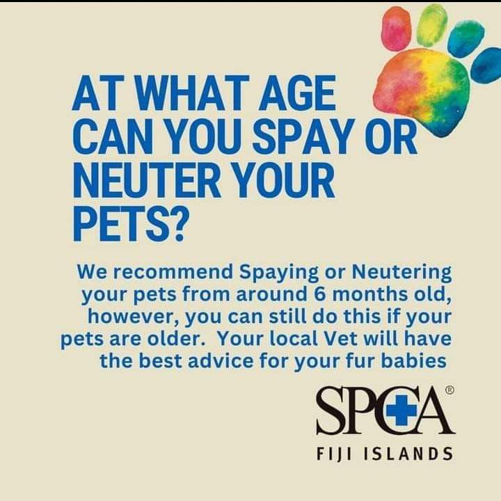 Happy world spay day!🌏🐕‍🦺🐈‍⬛ To learn more and make an appointment for your pet email us on spcafijireception@gmail.com today! 😊 #WorldSpayDay