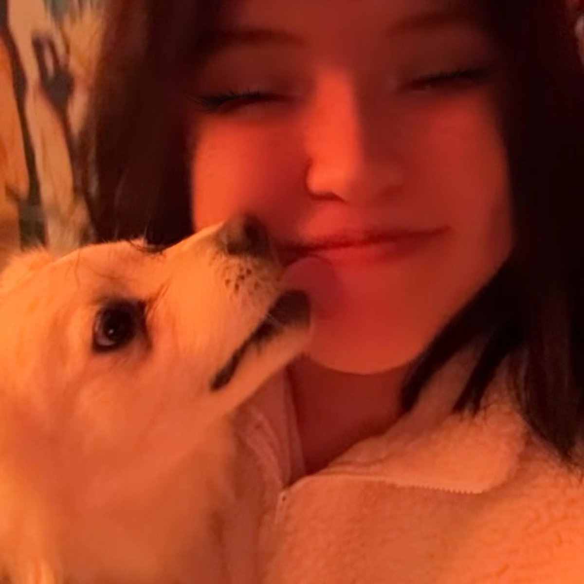 sungingi's tweet photo. # puppy love ๐ถ โง.*
#P1SD #P1eceScaDay #P1Harmony
#ํผ์ํ๋ชจ๋ #SOUL #ํ
์ค #PSD
#P1HarmonyWithP1ece #PHSD
@P1H_members https://t.co/zYrRegr2Vm