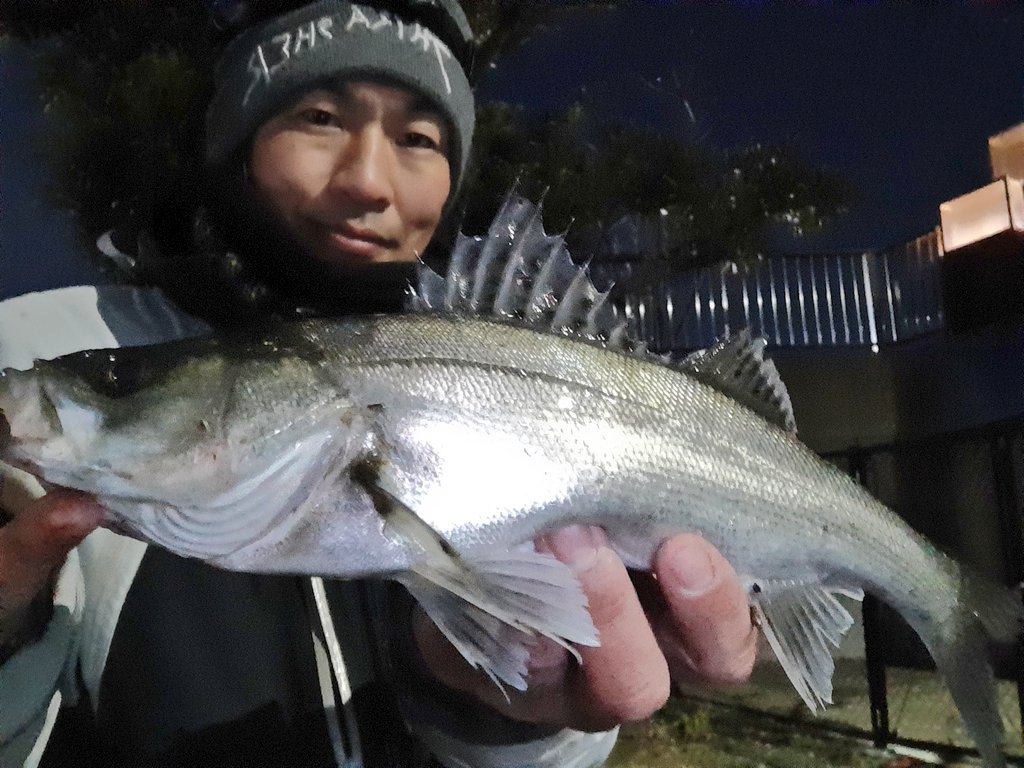 Fishing Rock (@FishingRock1) / Posts / X