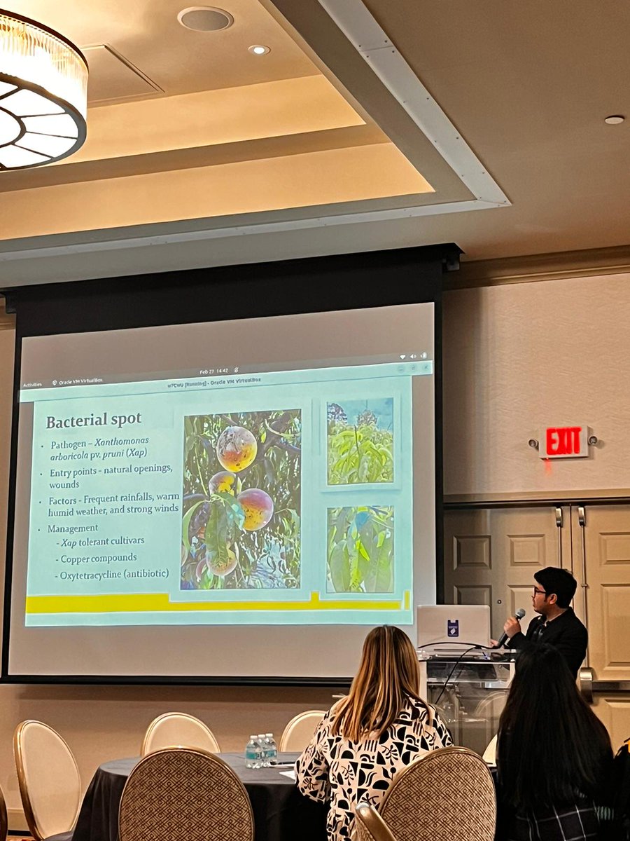 Junaed__ tweet media