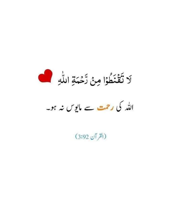 Muhammad Zain tweet media