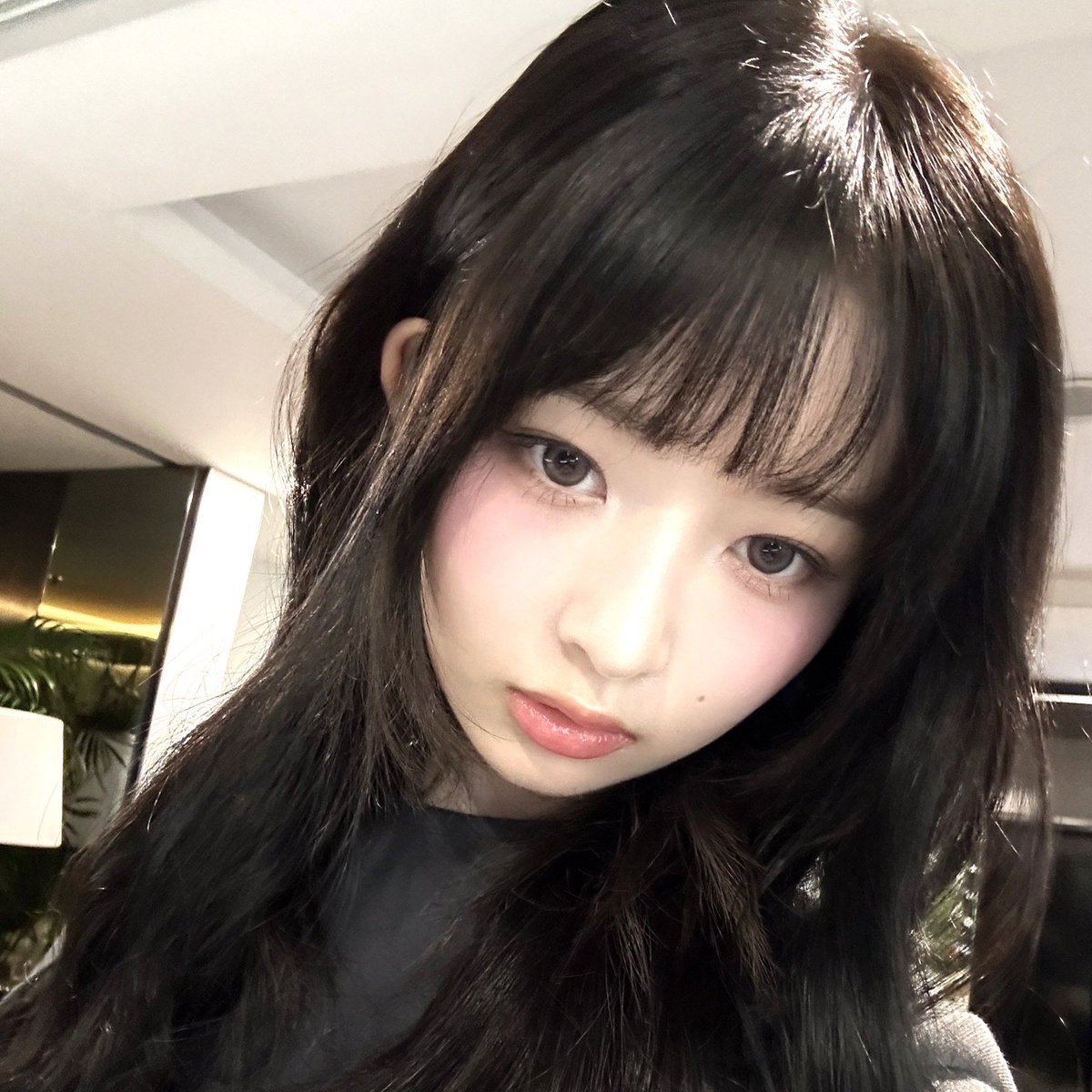 만두 (@mandu_rei) on Twitter photo 