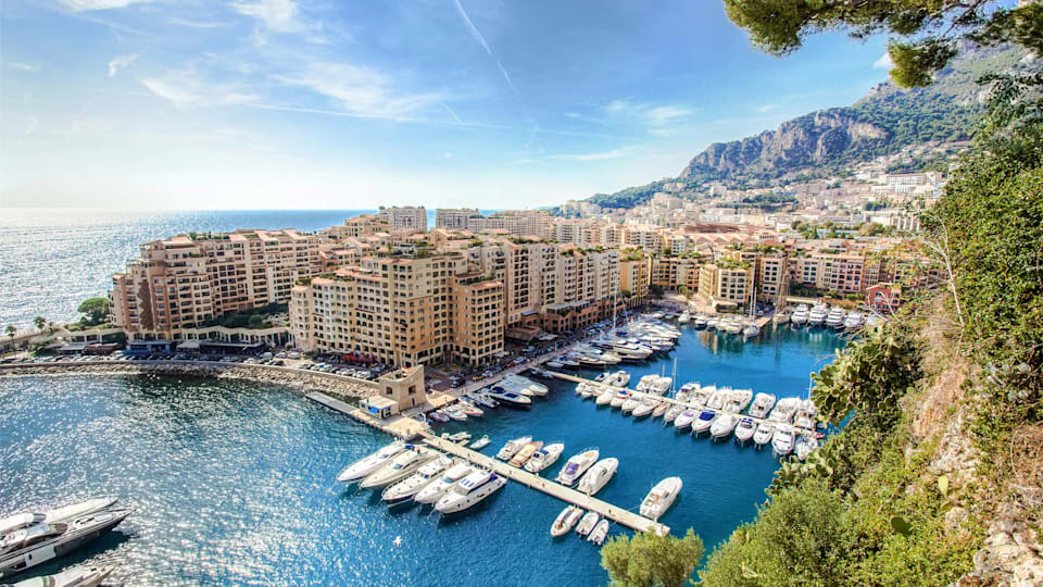 Enda King PhD (@enda_king) on Twitter photo All aboard 4 #IOCprev2024 in #Monaco, with big team from @aspetar presenting across a range of topics
So many outstanding sessions across the program and always an incredible venue
Join <a href="/RoulaKotsifaki/">Roula Kotsifaki</a> <a href="/lukeheath85/">Luke Heath</a> <a href="/RodWhiteley/">Rod Whiteley</a> and myself for our #ACL session on Thursday All aboard 4 #IOCprev2024 in #Monaco, with big team from @aspetar presenting across a range of topics
So many outstanding sessions across the program and always an incredible venue
Join <a href="/RoulaKotsifaki/">Roula Kotsifaki</a> <a href="/lukeheath85/">Luke Heath</a> <a href="/RodWhiteley/">Rod Whiteley</a> and myself for our #ACL session on Thursday