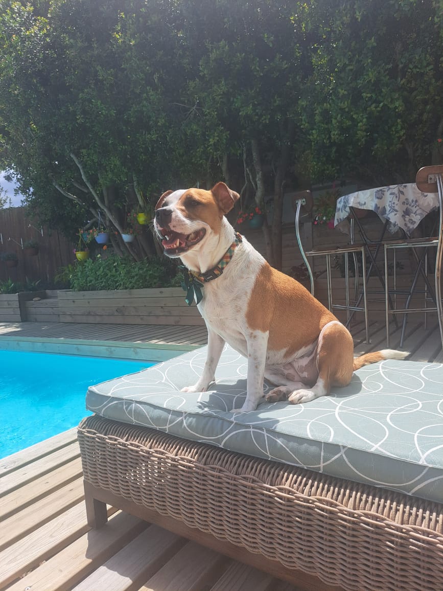 martin davis tweet media