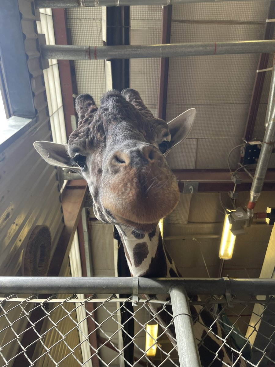 AlexandraERose's tweet photo. Don’t you hate when your supervisor is always breathing down your neck? https://t.co/JgQrmaDNVU