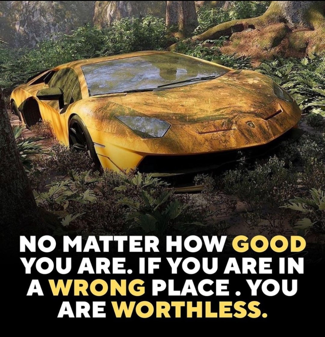 Work on Urself but don't forget to be at the right place amongst the right people.

#viral 
#Entrepreneur 
#StudentSuccess 
#inspirational