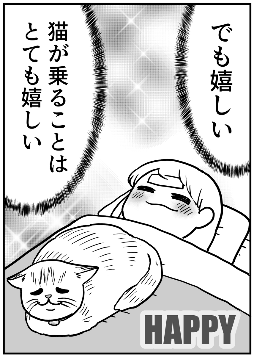 体調崩し人と猫 