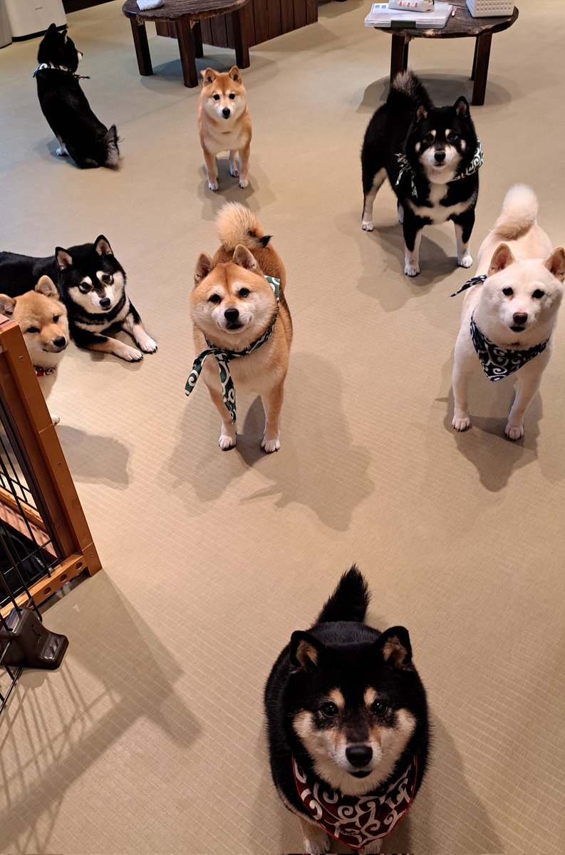 鎌倉小豆 鎌倉源氏庵（豆菓子・甘納豆）オンラインショップ