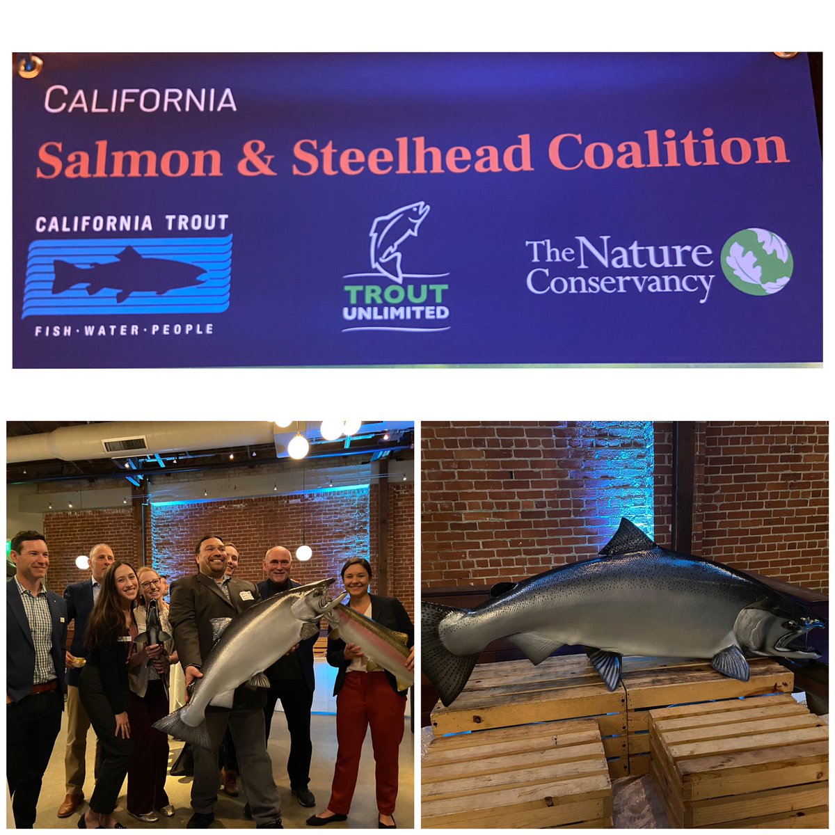 Congrats to <a href="/CalTrout/">California Trout</a>, <a href="/TroutUnlimited/">Trout Unlimited</a> &amp; <a href="/Conserve_CA/">The Nature Conservancy in California</a> for the accomplishments of the Salmon &amp; Steelhead Coalition over the last 10 years &amp; to their honorees @JimWoodAD2 and <a href="/asmstevebennett/">Assemblymember Steve Bennett</a> . 

No fish were harmed in the production of this photo.

#bigfish #salmon #biodiversity
