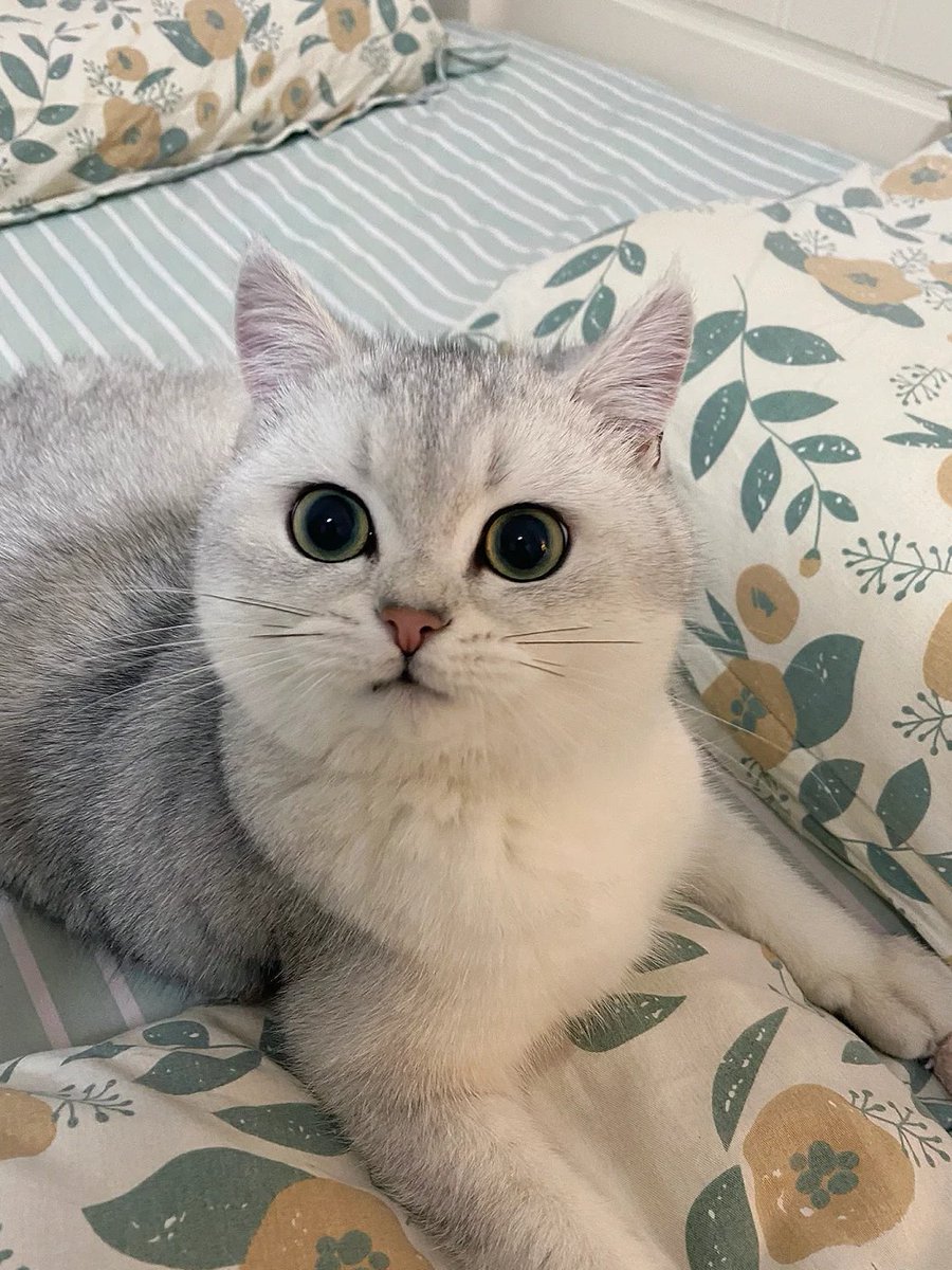 September628's tweet image. If you can manage your emotions well, you are elegant; if you can control your mentality well, you are successful.