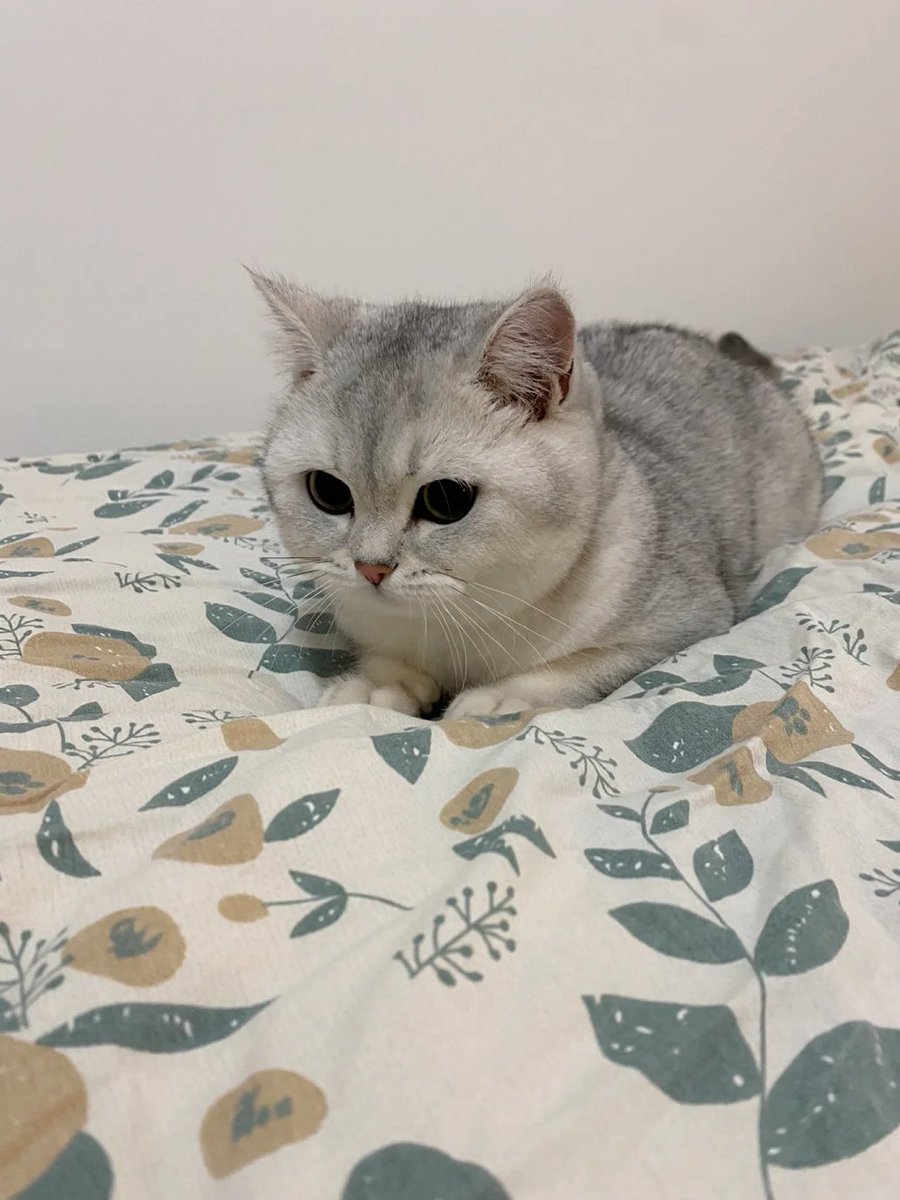 September628's tweet image. If you can manage your emotions well, you are elegant; if you can control your mentality well, you are successful.