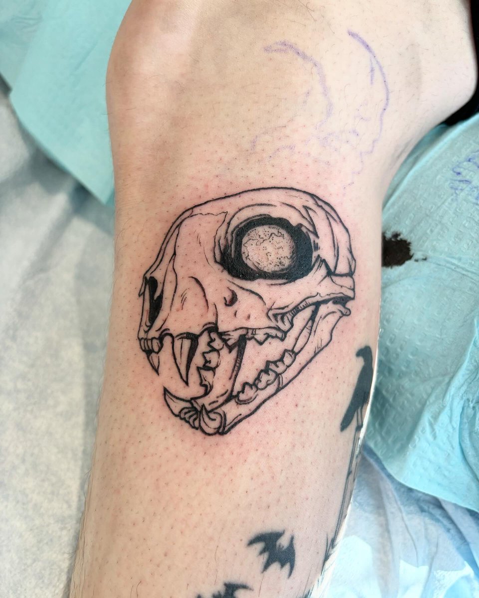 FirestarterInk's tweet image. Some recent friends from my slow recovery return to work week