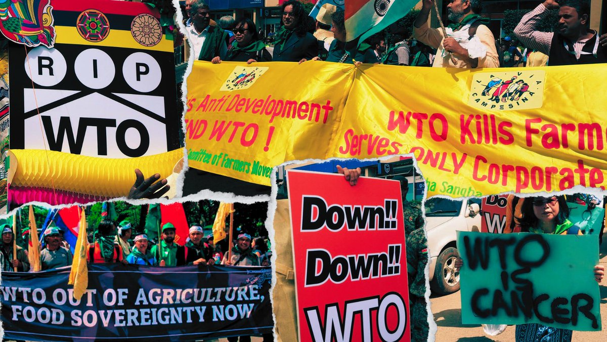As the @WTO convenes for #MC13, we stand united with 50+ organizations asserting that WTO is unfit for purpose in an era of multiple crises. #EndWTO The time is now for an alternative international trade framework based on #FoodSovereignty. Statement⬇️ focusweb.org/statement-wto-…