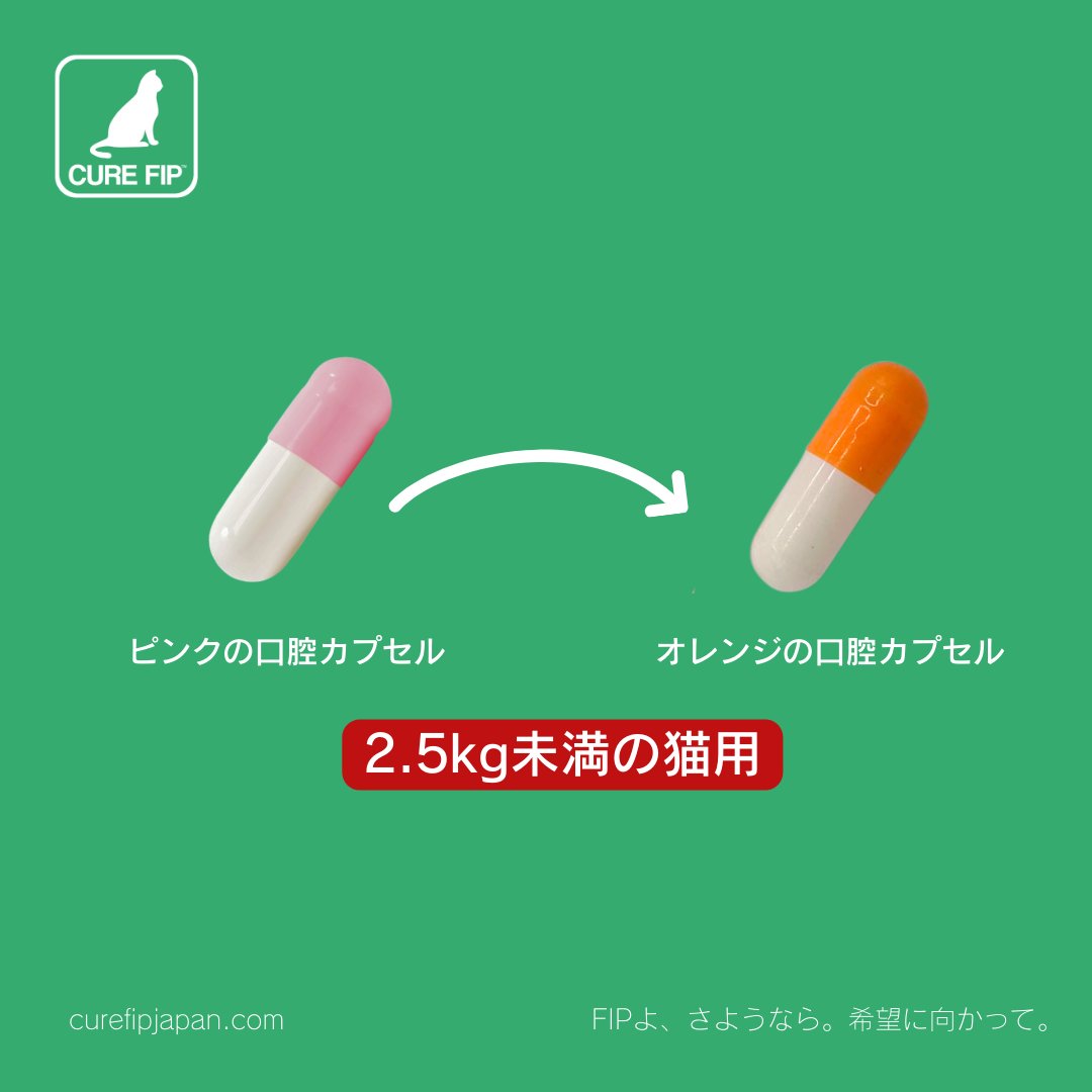 CureFip's tweet photo. お知らせ： 私たちは口頭カプセルの色を更新しています！

安心してください、外観が変わっても、品質と効果は変わりません。

あなたの猫の健康と満足度は、引き続き私たちの最優先事項です。

ご質問がありましたら、お気軽にお問い合わせください。

ウェブサイト：https://t.co/ITMrSn73zo https://t.co/SNLnkGYpnK