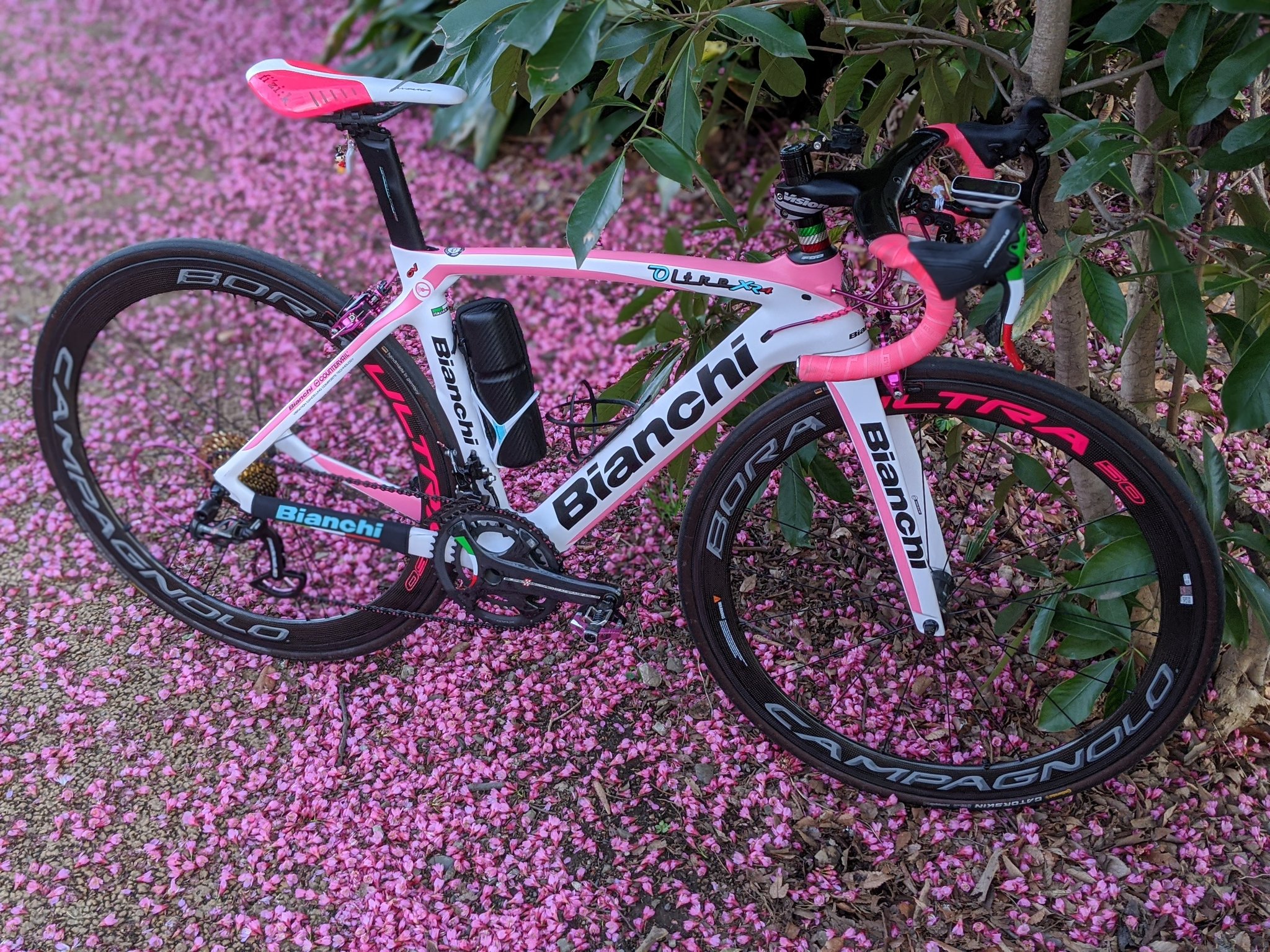 ピンク ロードバイク　自転車 ヨドバシ.com - ルイガノ Louis Garneau ロードバイク WTR 500mm