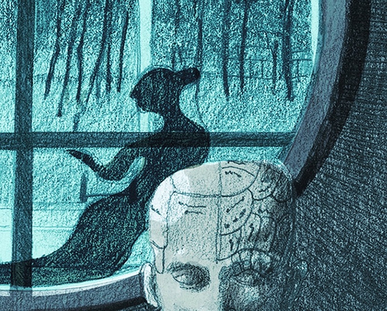 Phrenology head! Spooky shadow! Happy Wednesday, dear Follower. 8 days to go to publication of #TheRussianDetective by @jonathancape @capegraphicnovels #countdown #graphicnovel #illustration #crimefiction