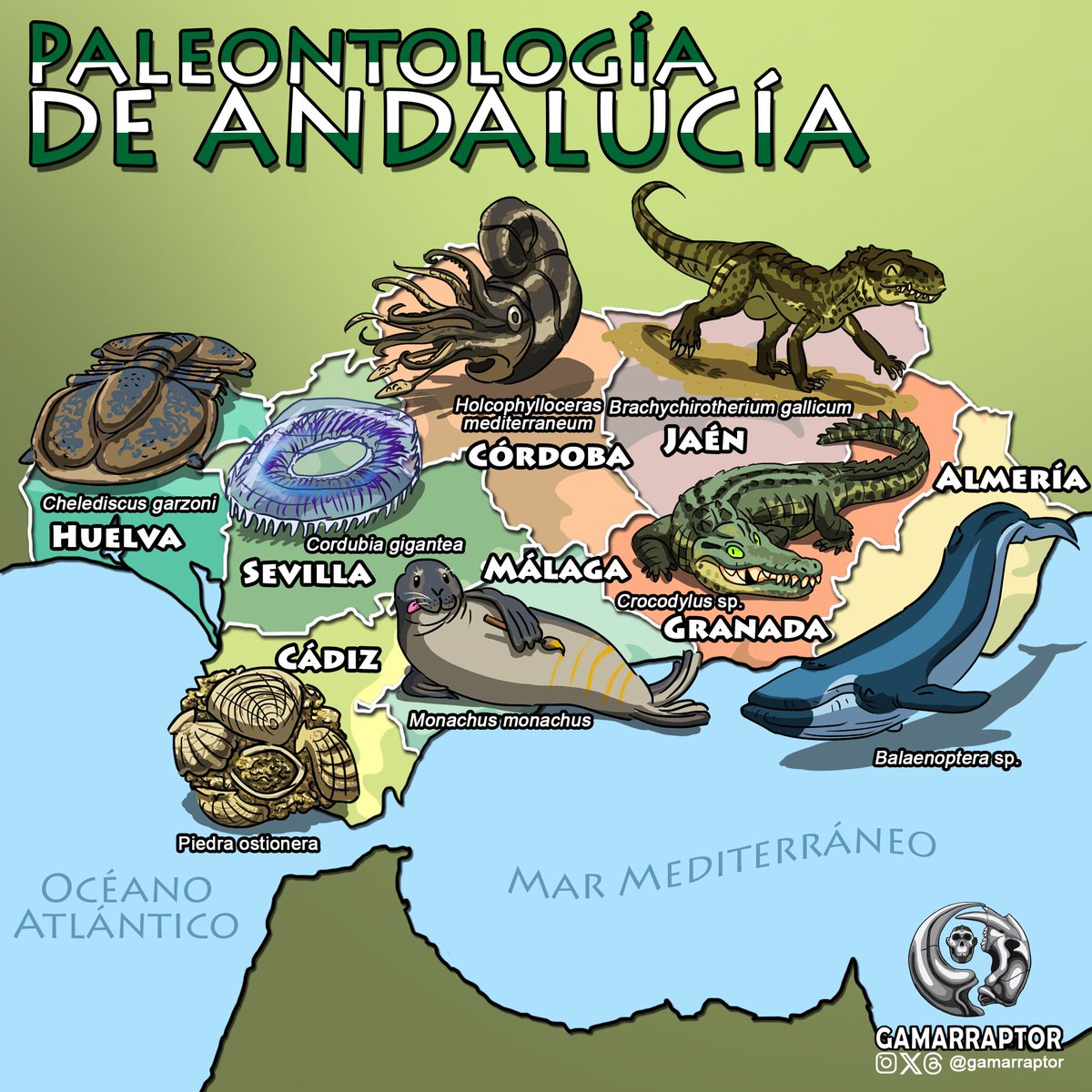 Hilo de Paleontología de Andalucía 🟢⚪🟢 Para celebrar el #DiadeAndalucia, conozcamos a diferentes representantes fósiles de cada provincia. ¿Me acompañas a la prehistoria andaluza? 😜 #paleontologia #dinosaurios #españa