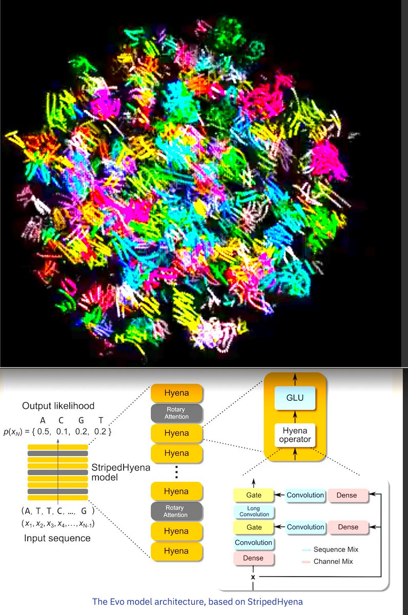 Exciting paper, out today, adapts large language models to biological sequences: - DNA🧬, RNA 🧫, proteins 💊- for generative design. As a small set of papers to help you get deeply into this, you can first read a review [1] of Large Language Models to analyze Genome Sequence…