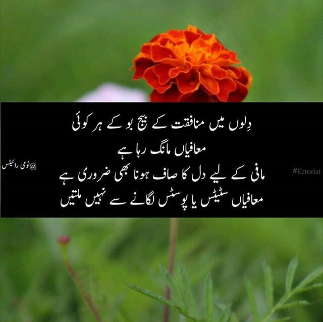 Mohammad Khan (@mohammadkh6034) on Twitter photo 