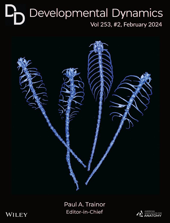 The Art of Science - Cover of Developmental Dynamics Micro-computed tomography scans (μCT) of #zebrafish spines displaying anomalies including scoliosis, rib fusions, rib bifurcations, and various malformed neural spines. With thanks to Kevin Serra, Stephen Devoto and colleagues