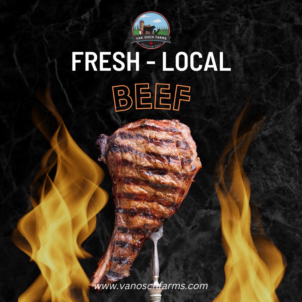 We’ve said it before and we’ll say it again. Local beef truly has the best flavor. Don’t you agree? #vanoschfarm #beef #sustainablefood #buylocal