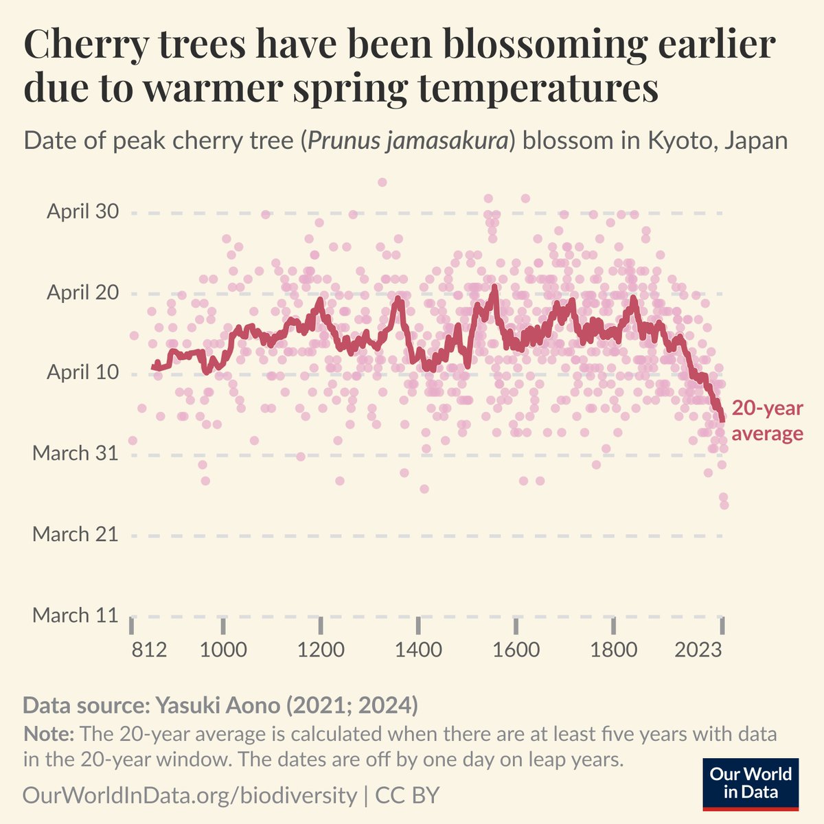 The timing of the peak cherry tree blossom is influenced by spring temperatures.

Based on data from Japan stretching back to the year 812 (!), we see that in recent centuries the peak blossom has gradually moved earlier in the year—due to higher temperatures from climate change.