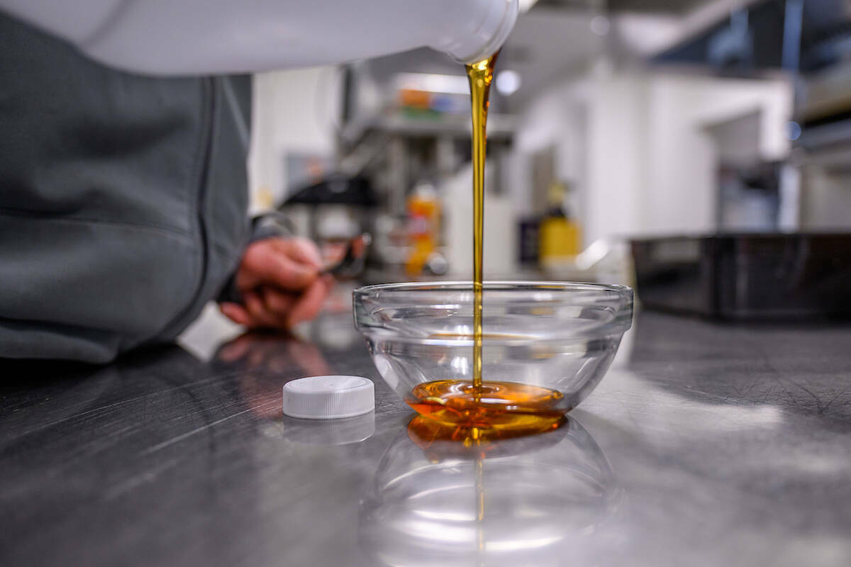 Have you seen these buckets near trees around the Notre Dame lakes? It's the first step in a careful process that produces maple syrup for the Holy Cross priests, brothers and seminarians. By ND junior Caroline Collins, photos by Matt Cashore '94: magazine.nd.edu/stories/what-i…