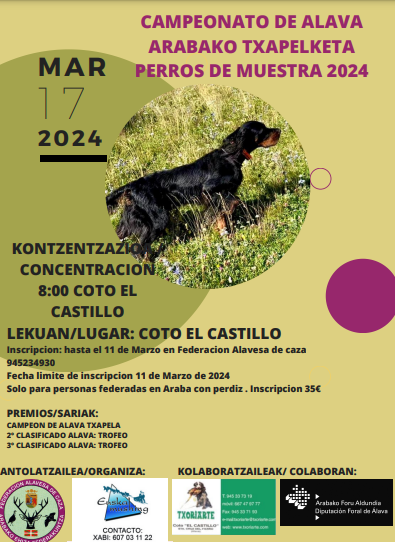 FedeAlavaCaza's tweet photo. CAMPEONATO DE ALAVA DE PERROS DE MUESTRA 2024 https://t.co/FAQSoV3mbq