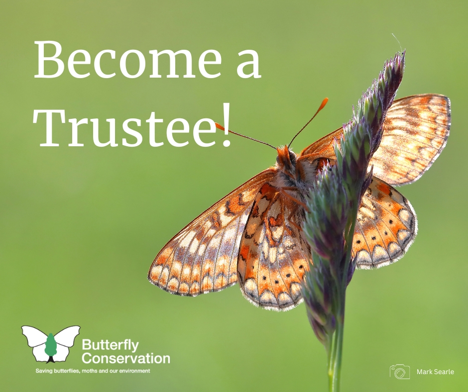We're looking for enthusiastic and dedicated individuals to join our Board of Trustees 📢

If you are passionate about being part of nature’s recovery, making a meaningful impact, and rebuilding the relationship between people and the natural world, we want you on our team!