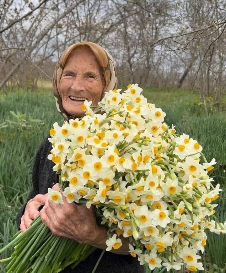 Care/i amiche/i, la natura si sta risvegliando in un grande silenzio l’erba comincia a verdeggiare di nuovo il sole tiepido fa respirare i campi arati i narcisi fioriscono sul loro stelo eretto inchinandosi verso la terra e i vecchi li offrono con gioia a chi è più giovane.