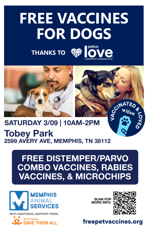 AdoptMAS tweet media